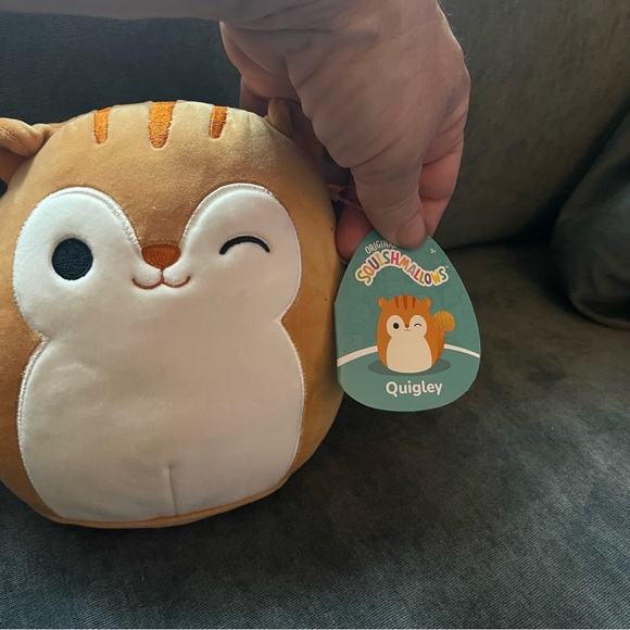 Quigley the squirrel squishmallow - Picture 4 of 7